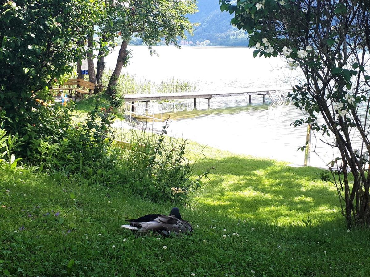 Maren Seeblick Appartement Haus Haensel&Gretel Direkt Am Ossiacher See Mit Hallenbad Stiegl المظهر الخارجي الصورة